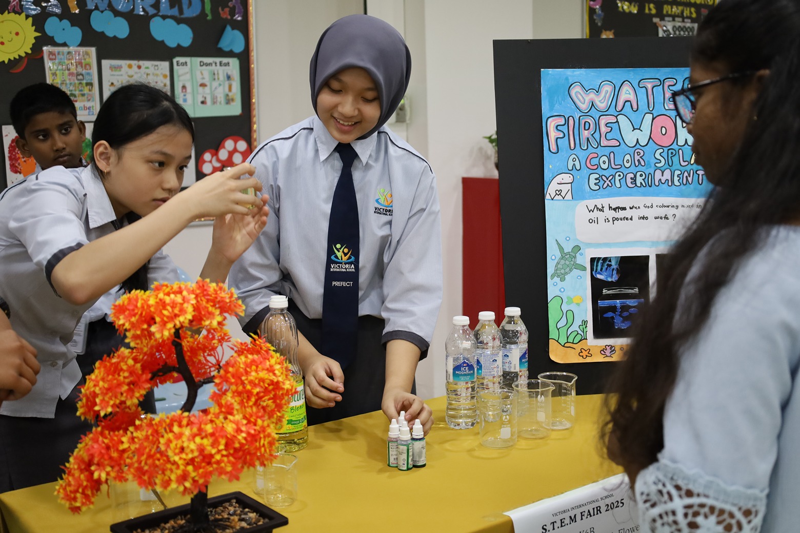 STEM Fair 2.0